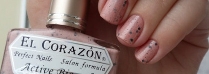 El Corazon - Eggs of Wild Birds №423/93