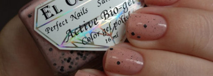 El Corazon - Eggs of Wild Birds №423/93