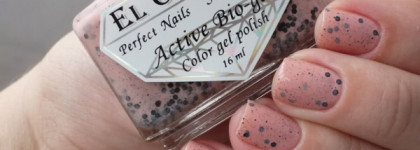 El Corazon - Eggs of Wild Birds №423/93