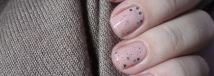 El Corazon - Eggs of Wild Birds №423/93