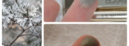 Хвоя в снегу. Clarins Ombre Minerale Mineral Eyeshadow Smoothing & Long-Lasting , №11 Silver Green