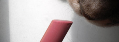 Inglot Slim Gel Lipstick №51