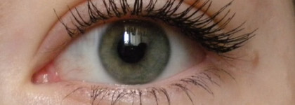 Очередная отличница от Max Factor: Clump Defy by False Lash Effect в оттенке Black