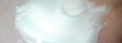 Уход для волос:Tsubaki и Aquair by Shiseido