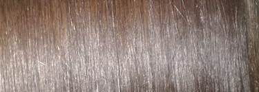 MoltoBene Bene Premium Bluria Rose Moist Spa Treatment - Увлажняющая Spa-маска для ухода за кожей головы и волосами