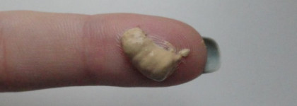 Минеральный тональный крем Liquid Minerals A Foundation от Jane Iredale (в оттенке Warm Sienna)