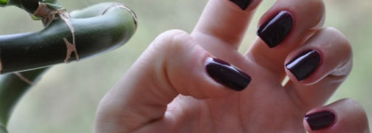 Дуэт в темных тонах или Dance Legend "Rich Black #919" & Mary Kay "Plush Plum"