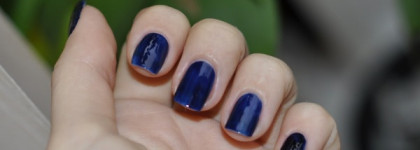 Синий Дуэт Dance Legend #916 Rich Black Undersea & Rimmel Salon Pro with Lycra Kаte #717 "Rhythm &Blues"