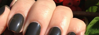 К осени готов? Всегда готов! или Chanel Le Vernis Nail Color 601 Mysterious