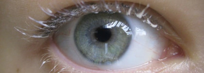 Основа под тушь Clinique Lash Building Primer