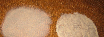 Синтетические кисти кабуки Synthetic Kabuki Sigma Beauty - отзыв после года активного использования! 1 часть