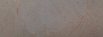 Моя "крестная фея" или как с помощью сухого шампуня Toni&Guy превратить "тыкву"на голове в нечто большее