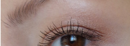 Тени для век MAC Eye shadow в оттенках Sable (F) и All that glitters (Vp)