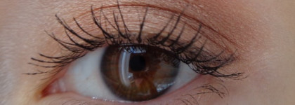 Тени для век MAC Eye shadow в оттенках Sable (F) и All that glitters (Vp)