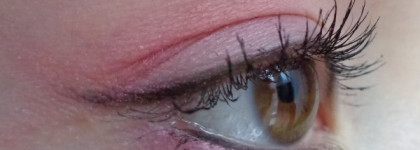 Настроение в розовом цвете. Shiseido Luminizing Satin Eye Color Trio PK 403