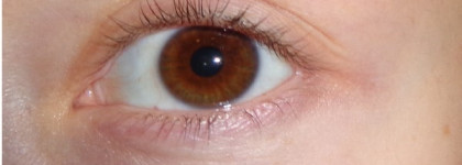 Estee Lauder Sumptuous Extreme Lash Multiplying Volume Mascara №2 Extreme Brown