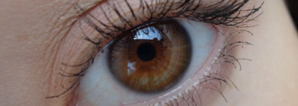 Guerlain Ecrin 4 Couleurs Eyeshadow Les Ombres 06 Les Fumes