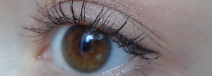 Shiseido Luminizing Satin Eye Color RD 709 Alchemy