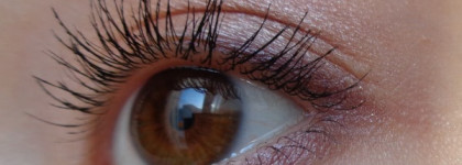 Тени-праздник Dior 5 Couleurs Iridescent Eyeshadow № 809 Petal Shine