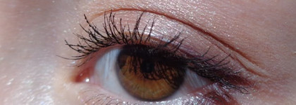 Тени-праздник Dior 5 Couleurs Iridescent Eyeshadow № 809 Petal Shine