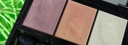 Для тех, кто еще думает: Shiseido Luminizing Satin Eye Color Trio RD 299 Beach Grass