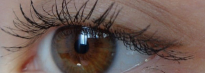 Dior Diorshow Fusion Mono Matte Long-Wear Professional Eyeshadow 761 Mirage. Dior Trianon Spring 2014 Collection