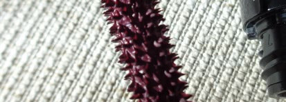 Любимая тушь. Потрясающий оттенок. Chanel Le Volume De Chanel Mascara #30 Prune