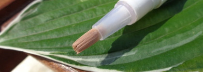 Lumene Touch of Radiance Highlighter #1 Original Light