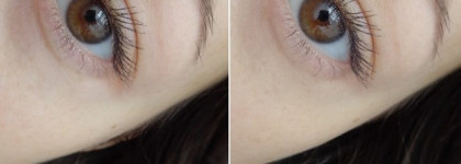 Shiseido Sheer Eye Zone Corrector # 102 Light