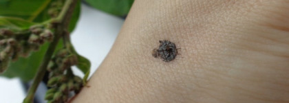 Chanel Le Volume de Chanel Mascara #040 Khaki Bronze