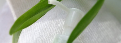 Мои зелёненькие: Secret Key CC Bubble All in One Cleanser & Holika Holika Daily Garden Cleansing Foam Bamboo