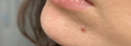 Catrice velvet matt lip pencil colour & contour #090 Mauve me tender, #020 Love among the rosewood trees