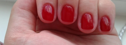 Лак для ногтей Golden Rose Rich Color №24