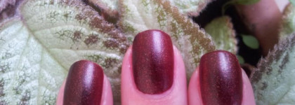 Лак Anny Nail Polish №469 Project Fame