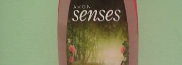 Скромные страсти бутылочницы: краткий обзор гелей для душа