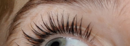 Приятная новинка Wild Mega Volume Mascara Тушь для ресниц (объемная). Max Factor. Цвет черный