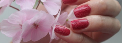 Aurelia Crack аjour 02