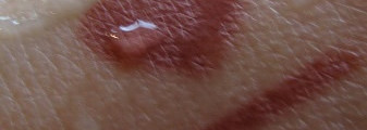 Artdeco Soft Lip Liner Waterproof #26 Sensual teak