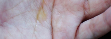 Масло для волос "Oil of Marocco" от Marc Anthony