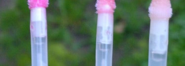 Три моих злых птички  Angry Birds от Lumene №20, №19, №18