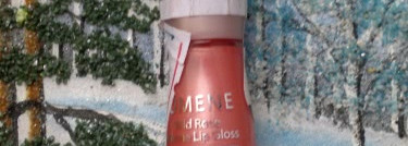 Мой квартет из Lumene Wild rose Volume lip gloss #8,#8,#20,#24