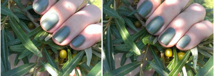 Неожиданный любимчик Лак для ногтей Rimmel lycra PRO № 520 camouflage chic