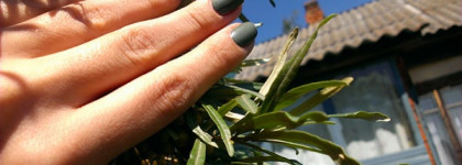 Неожиданный любимчик Лак для ногтей Rimmel lycra PRO № 520 camouflage chic