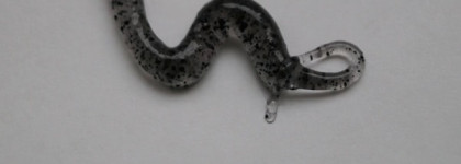 Уход от Pola: T-zone purifying scrub и Milk I