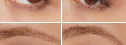 Тени Catrice Absolute Nude Eyeshadow Palette 010 All Nude