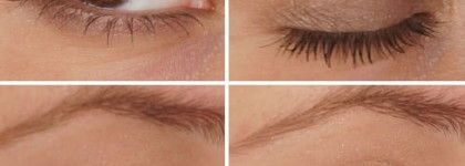 Тени Catrice Absolute Nude Eyeshadow Palette 010 All Nude