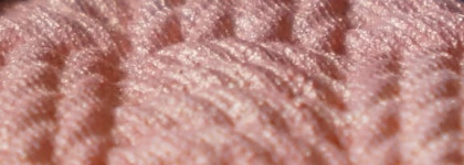 Dior Diorshow Mono Transat Edition Wet & dry backstage eyeshadow в оттенке 541 Pavillon