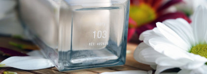 Clarins Skin Illusion Mineral & Plant Extracts spf10 Natural Radiance Foundation #103 Ivory