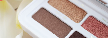 Моя весенняя Eyes & Brows Palette от Clarins Ready in a Flash