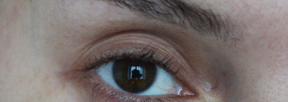 Vivienne Sabo Cabaret Premiere Mascara Volumateur Artistique #05 Brown